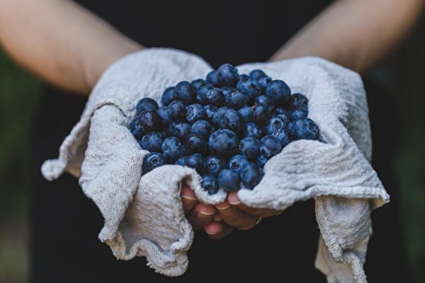 7个理由你应多吃蓝莓 有一种类更有营养